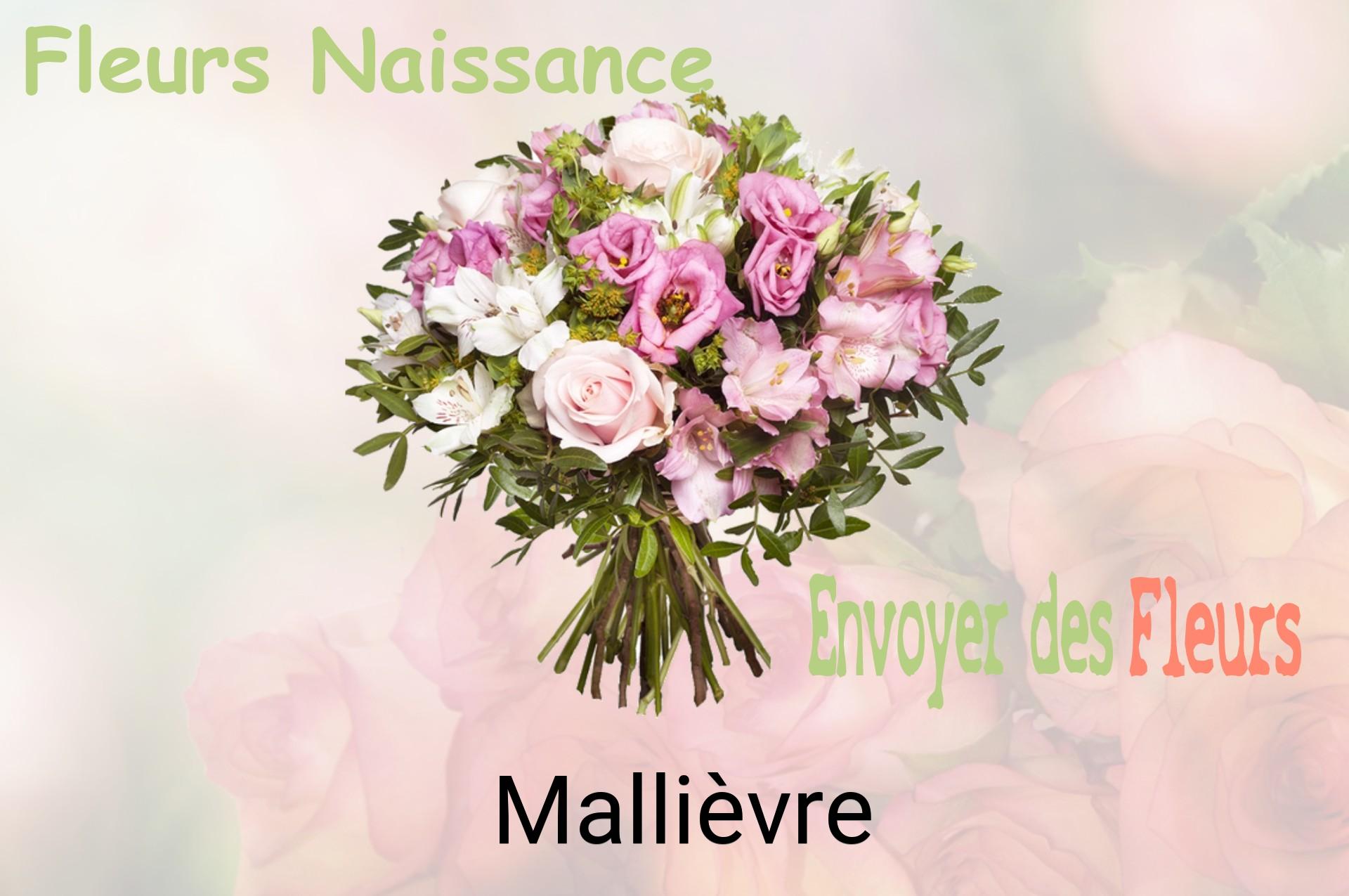 Bouquet de fleurs de naissance livré à Mallièvre