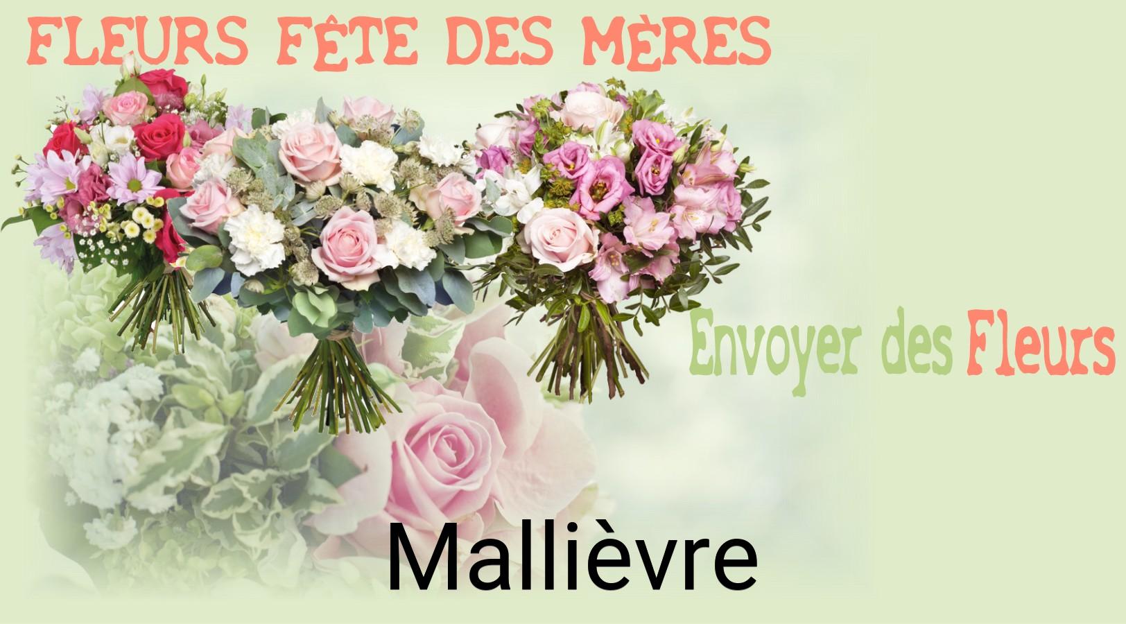 Bouquet de Fête des Mères livré à Mallièvre